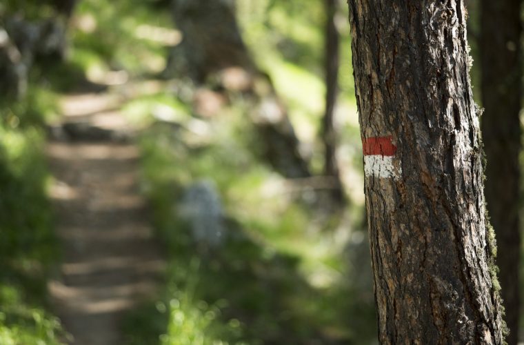 Wandern am Meraner Höhenweg